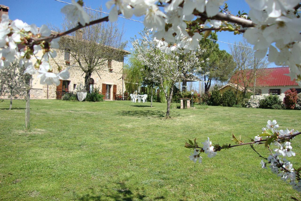 Villa Fattoria Il Bruco Pila  Exterior foto